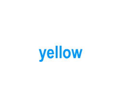 Flashcards: yellow