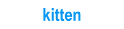 Picture dictionary for kids: kitten