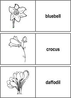 ESL dominoes: Spring Flowers vocabulary