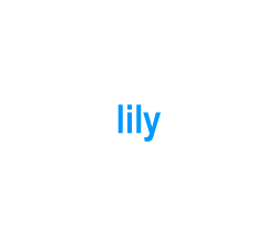 Flashcards: lily